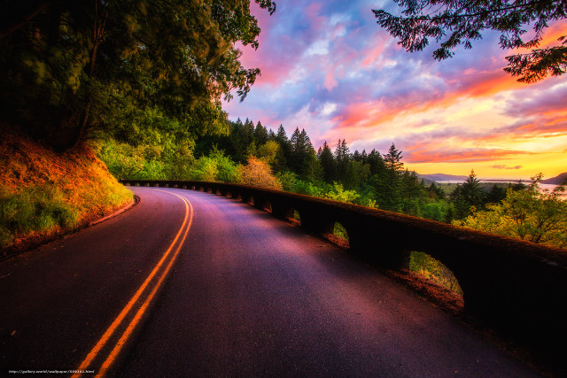 Road bridge trees sunset dawn free wallpaper for desktop - medium preview image