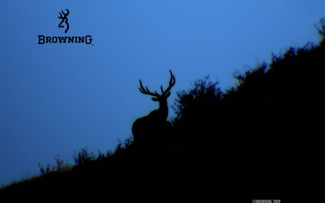 Deer silhouette blue sky browning free wallpaper for desktop - medium preview image