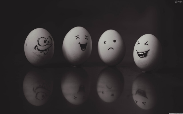 Eggs with faces row table free wallpaper for desktop - medium preview image