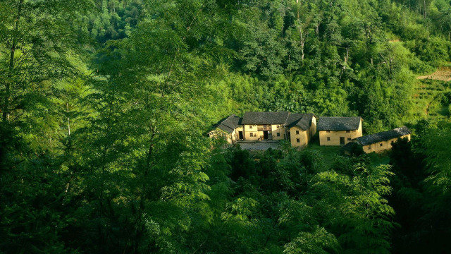 House forest trees hill background free wallpaper for desktop - medium preview image