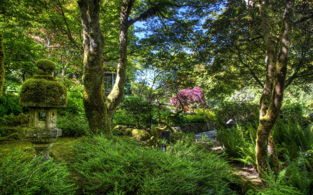 Garden stone lantern trees bushes free wallpaper for desktop - medium preview image