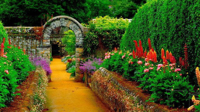 Garden stone arch colorful flowers #2 free wallpaper for desktop - medium preview image