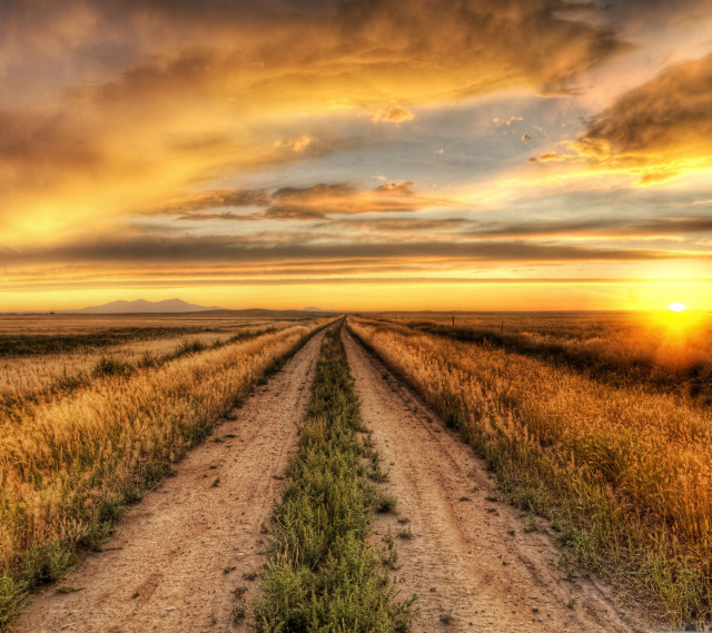 Dirt road sunset grass field free wallpaper for tablet - medium preview image