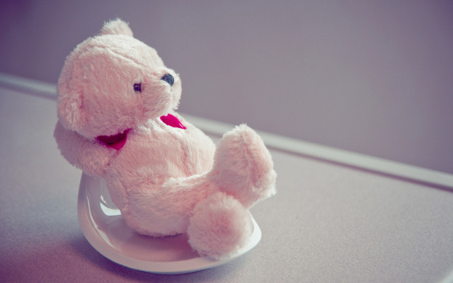 Pink stuffed animal table window free wallpaper for desktop - medium preview image