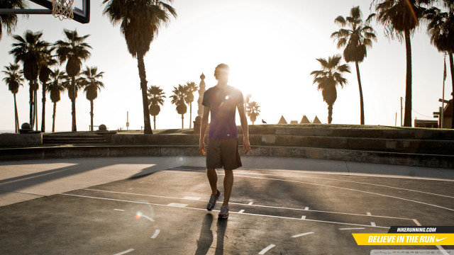 Man basketball court palm trees free wallpaper for desktop - medium preview image
