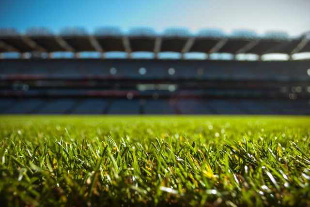 Grass stadium blue sky bokeh free wallpaper for desktop - medium preview image