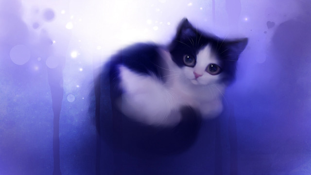 Black white cat chair blue free wallpaper for desktop - medium preview image