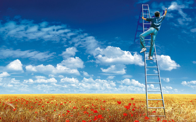 Man climbing ladder field flowers free wallpaper for desktop - medium preview image