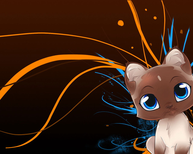 Cat blue eyes table black free wallpaper for desktop - medium preview image