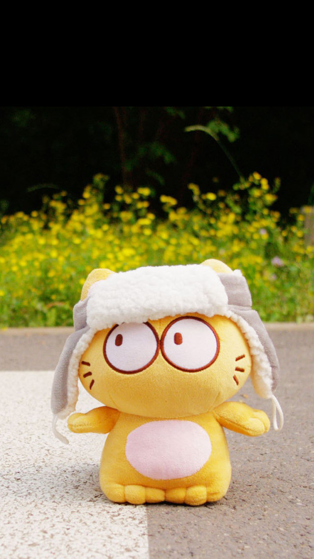 Yellow stuffed animal white hat free wallpaper for mobile - medium preview image