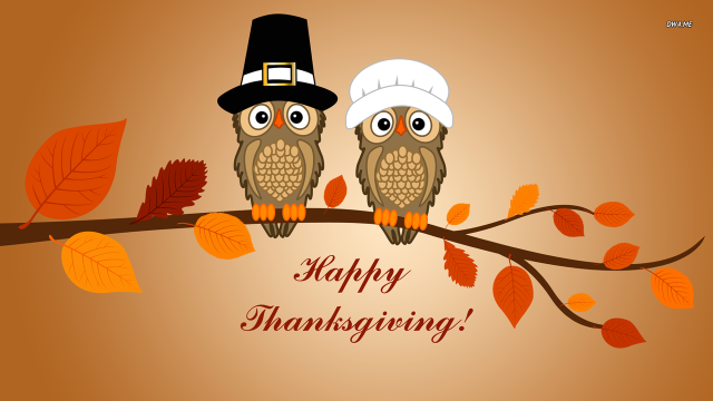 Two owls branch happy thanksgiving #2 free wallpaper for desktop - medium preview image