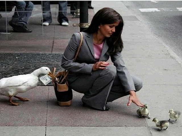 Woman feeding birds city street free wallpaper for desktop - medium preview image