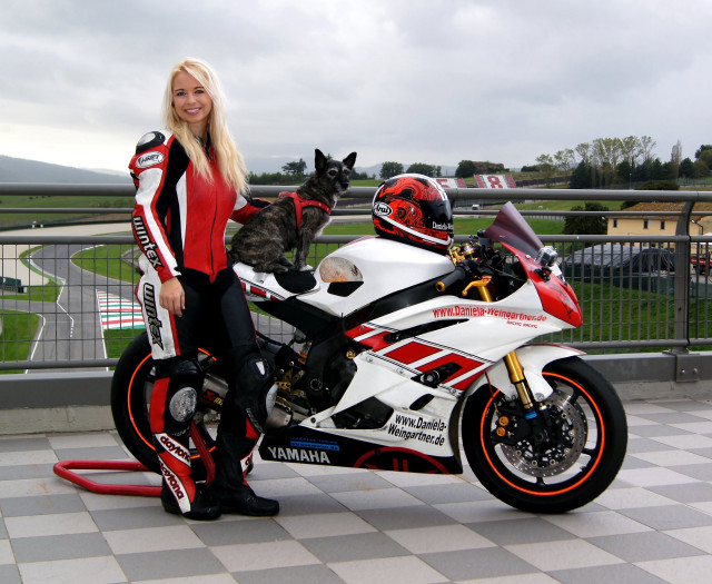 Woman motorcycle cat seat dog free wallpaper for desktop - medium preview image