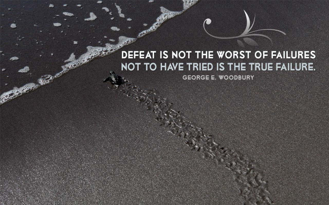 Quote beach wave footprints sand free wallpaper for desktop - medium preview image