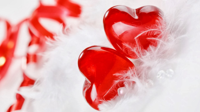 Red hearts feathery surface red free wallpaper for desktop - medium preview image