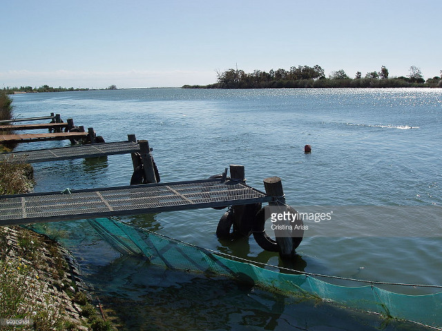 Man wet suit sitting dock free wallpaper for desktop - medium preview image