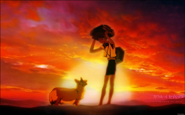 Woman dog sunset sky clouds free wallpaper for desktop - medium preview image