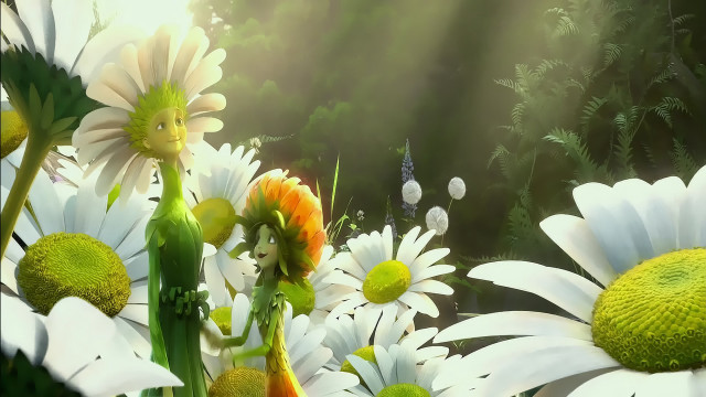 Flowers grass sunlight leaves foreground free wallpaper for desktop - medium preview image