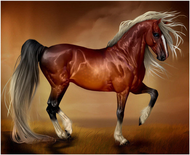 Horse long mane field grass free wallpaper for desktop - medium preview image