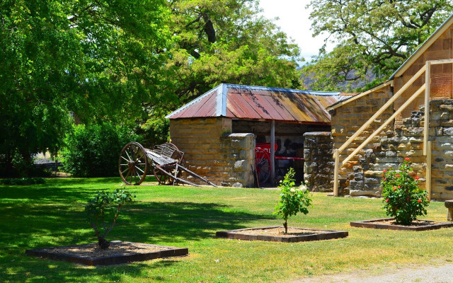 Small garden tree building ladder free wallpaper for desktop - medium preview image