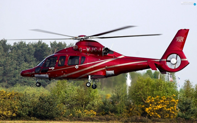 Red helicopter flying over forest free wallpaper for desktop - medium preview image