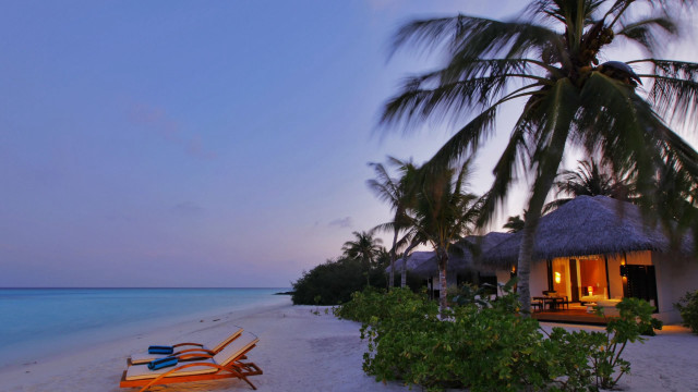 Beach chair hut dusk palm free wallpaper for desktop - medium preview image