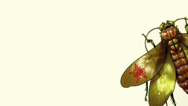 Bee flower wings fireflies fairy free wallpaper for desktop - medium preview image