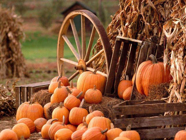 Pumpkins hay bale wooden wheel free wallpaper for desktop - medium preview image