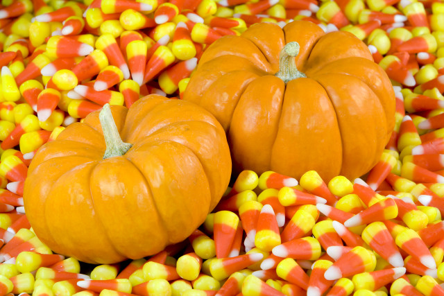 Pumpkins candy corn table background #2 free wallpaper for desktop - medium preview image
