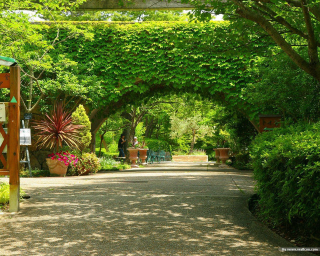 Walkway plants bench sign nature free wallpaper for desktop - medium preview image