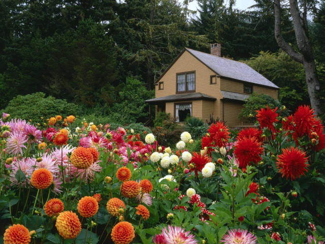 House surrounded by flowers garden free wallpaper for desktop - medium preview image