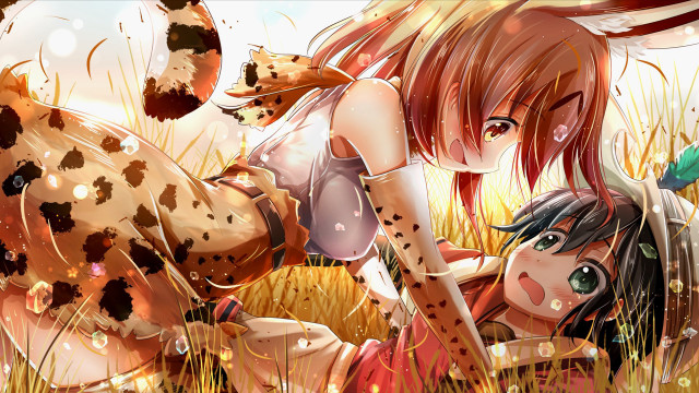 Girl cow grass field cat free wallpaper for desktop - medium preview image