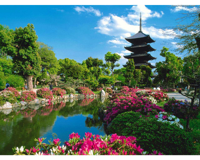 Pond flowers pagoda blue sky free wallpaper for desktop - medium preview image