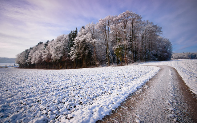Snowy road field trees blue free wallpaper for desktop - medium preview image