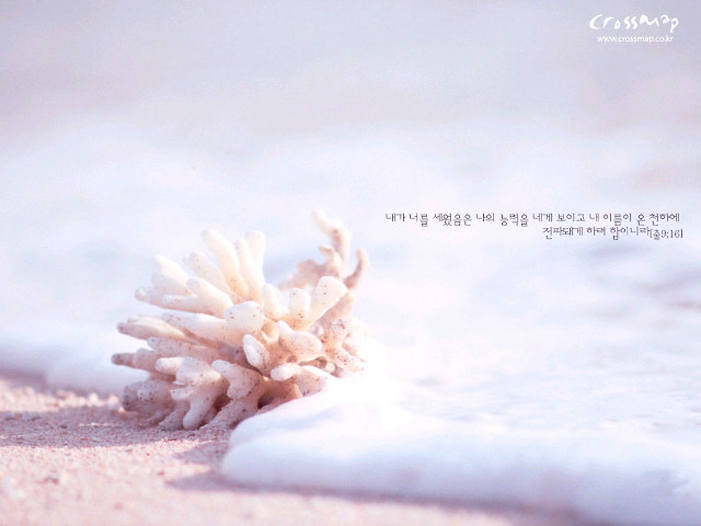 White flower sandy beach love free wallpaper for desktop - medium preview image
