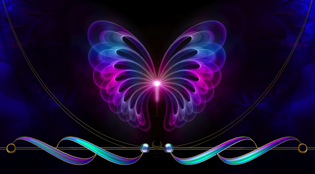 Butterfly purple blue wings black free wallpaper for desktop - medium preview image