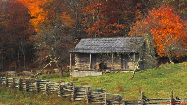 Rustic cabin woods fall colors #2 free wallpaper for desktop - medium preview image
