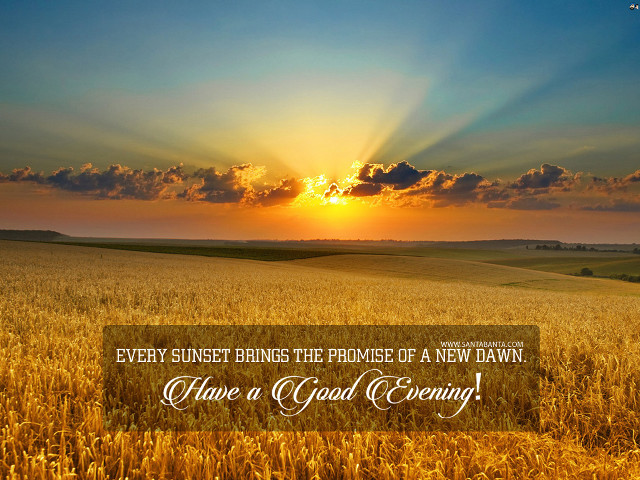 Wheat field sunset bible quote free wallpaper for desktop - medium preview image