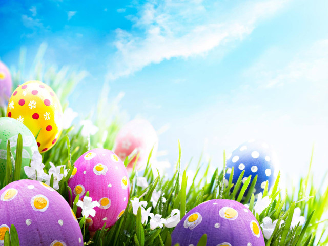 Colorful eggs grass daisies decorated free wallpaper for desktop - medium preview image