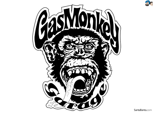 Monkey tongue out gas monkey free wallpaper for desktop - medium preview image