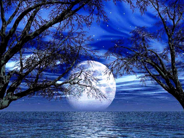 Full moon trees water night free wallpaper for desktop - medium preview image