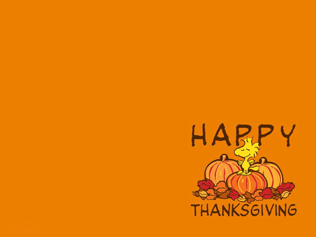 Happy thanksgiving cat pumpkin card free wallpaper for desktop - medium preview image