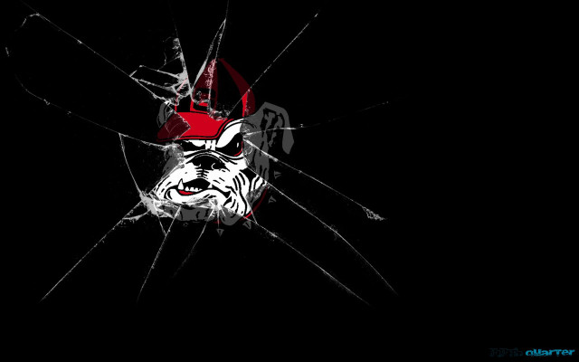 Bulldog broken glass window red free wallpaper for desktop - medium preview image