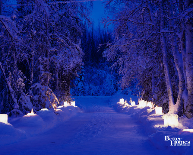 Snowy path night lights trees free wallpaper for desktop - medium preview image