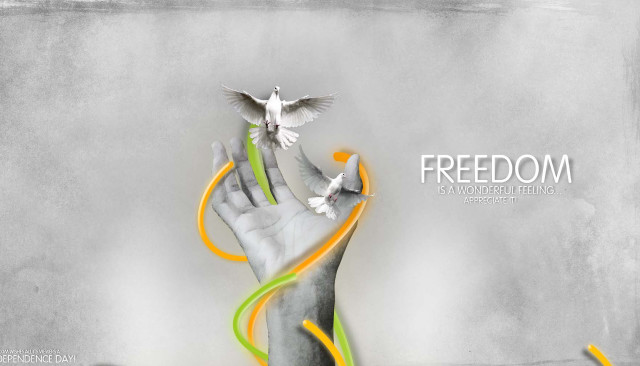 Hand bird flying streamers air free wallpaper for desktop - medium preview image