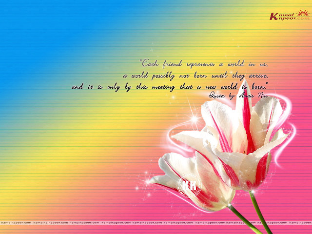 Pink flower rainbow background quote free wallpaper for desktop - medium preview image