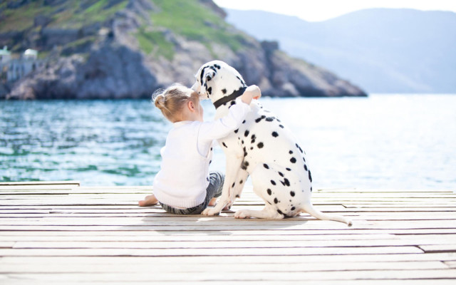 Little girl dock dalmatian dog free wallpaper for desktop - medium preview image