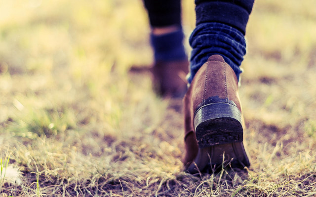 Person walking field boots dog free wallpaper for desktop - medium preview image