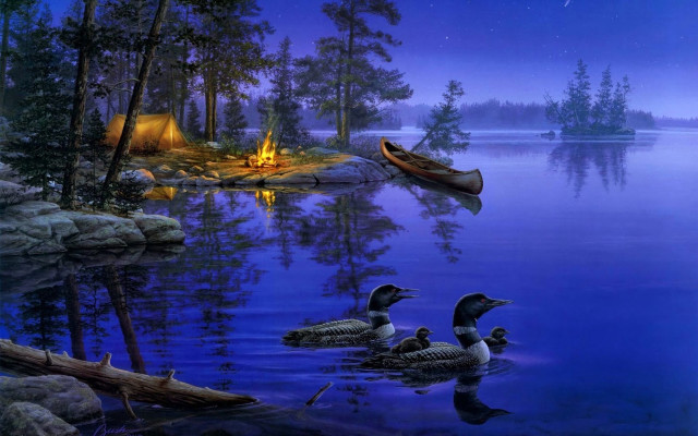 Ducks swimming lake night campfire free wallpaper for desktop - medium preview image