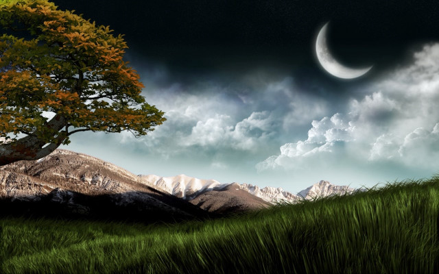 Tree moon sky grassy hill #3 free wallpaper for desktop - medium preview image